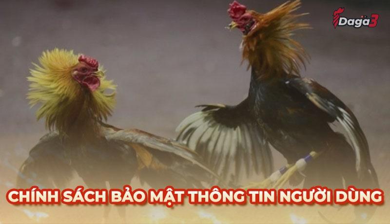 Chính sách bảo mật thông tin người dùng tại www.griferias.top