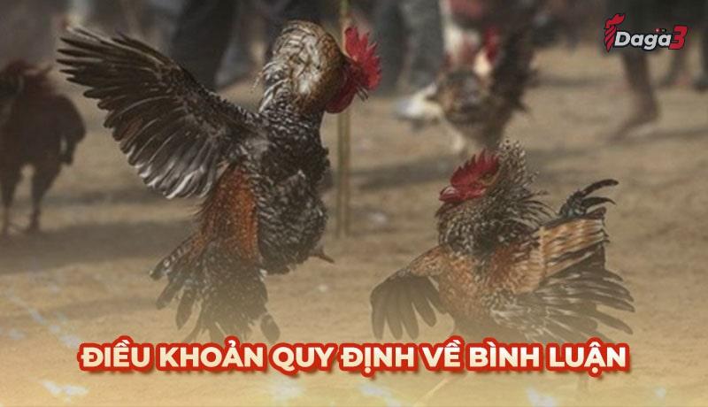 Người dùng cần tuân thủ một số điều khoản khi bình luận trên www.griferias.top