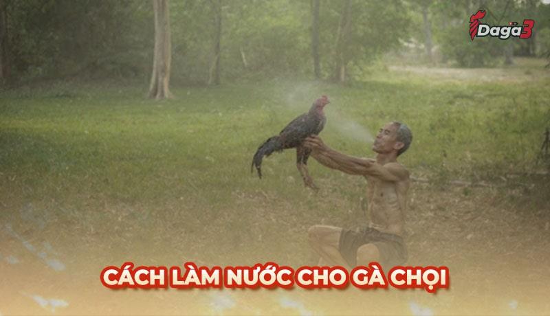 Tổng hợp cách làm nước cho gà chọi sư kê không thể bỏ qua