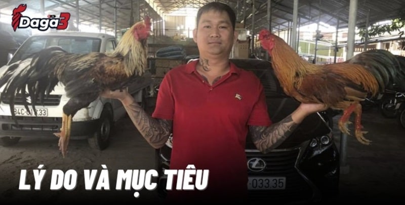 Mít Trà Cú sáng lập trang đá gà trực tiếp www.griferias.top